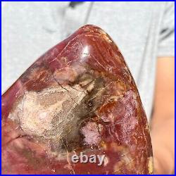 4.28LB Natural Fossil Petrified Wood Polished Freeform Crystal Mineral Healing