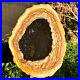 4_2LB_Large_Natural_Petrified_Wood_Crystal_Fossil_Slice_Shape_Specimen_Healing_01_qtbu