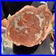4_2LB_Rare_red_Natural_petrified_wood_rough_Wood_fossil_mineral_specimen_healing_01_elu