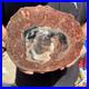 4_2LB_Rare_red_Natural_petrified_wood_rough_Wood_fossil_mineral_specimen_healing_01_fb