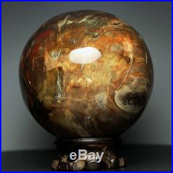4.2 4.2lb NATURAL PETRIFIED WOOD FOSSIL SPHERE BALL withRoseWood Stand Madagascar