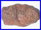 4_2_PETRIFIED_PINE_CONE_LARGE_RARE_FOSSIL_SPECIMEN_PATAGONIA_1_1_lb_01_wuh