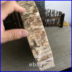 4.2kg Natural Petrified Wood fossil Crystal Ashtray Madagascar 02
