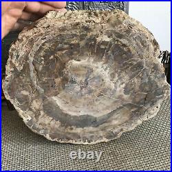 4.2kg Natural Petrified Wood fossil Crystal Ashtray Madagascar 02