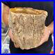 4_2lb_Rare_Natural_petrified_wood_rough_Wood_fossil_mineral_specimen_healing_01_yt
