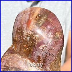 4.32LB Natural Fossil Petrified Wood Polished Freeform Crystal Mineral Healing