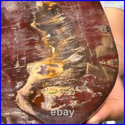 4.34LB Natural Fossil Petrified Wood Polished Freeform Crystal Mineral Healing