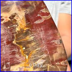 4.34LB Natural Fossil Petrified Wood Polished Freeform Crystal Mineral Healing