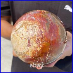 4.3lb Natural Red Petrified Wood Crystal Ball Fossil Polished Sphere Specimen