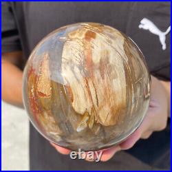 4.3lb Natural Red Petrified Wood Crystal Ball Fossil Polished Sphere Specimen