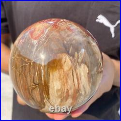 4.3lb Natural Red Petrified Wood Crystal Ball Fossil Polished Sphere Specimen