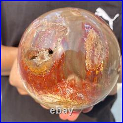 4.3lb Natural Red Petrified Wood Crystal Ball Fossil Polished Sphere Specimen