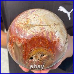 4.3lb Natural Red Petrified Wood Crystal Ball Fossil Polished Sphere Specimen