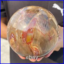 4.3lb Natural Red Petrified Wood Crystal Ball Fossil Polished Sphere Specimen