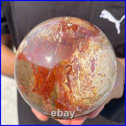 4.3lb Natural Red Petrified Wood Crystal Ball Fossil Polished Sphere Specimen