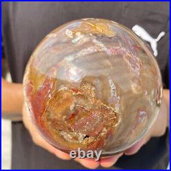 4.3lb Natural Red Petrified Wood Crystal Ball Fossil Polished Sphere Specimen