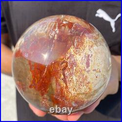 4.3lb Natural Red Petrified Wood Crystal Ball Fossil Polished Sphere Specimen