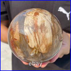 4.3lb Natural Red Petrified Wood Crystal Ball Fossil Polished Sphere Specimen