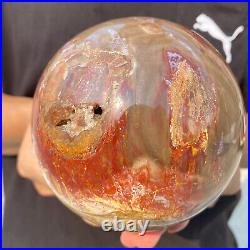 4.3lb Natural Red Petrified Wood Crystal Ball Fossil Polished Sphere Specimen