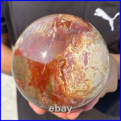 4.3lb Natural Red Petrified Wood Crystal Ball Fossil Polished Sphere Specimen