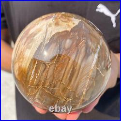 4.3lb Natural Red Petrified Wood Crystal Ball Fossil Polished Sphere Specimen