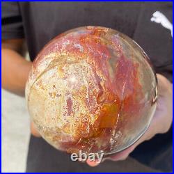 4.3lb Natural Red Petrified Wood Crystal Ball Fossil Polished Sphere Specimen