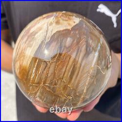 4.3lb Natural Red Petrified Wood Crystal Ball Fossil Polished Sphere Specimen