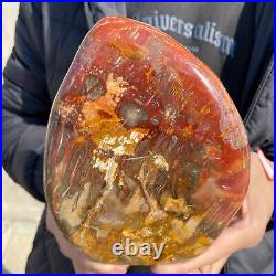 4.3lb Rare Natural petrified wood rough Wood fossil mineral specimen healing 4.3lb Rare Natural petrified wood rough Wood fossil mineral specimen healing