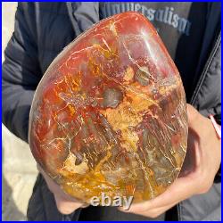 4.3lb Rare Natural petrified wood rough Wood fossil mineral specimen healing 4.3lb Rare Natural petrified wood rough Wood fossil mineral specimen healing