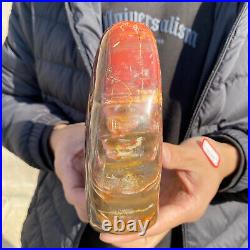 4.3lb Rare Natural petrified wood rough Wood fossil mineral specimen healing 4.3lb Rare Natural petrified wood rough Wood fossil mineral specimen healing