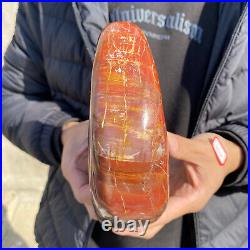 4.3lb Rare Natural petrified wood rough Wood fossil mineral specimen healing 4.3lb Rare Natural petrified wood rough Wood fossil mineral specimen healing