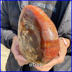 4.3lb Rare Natural petrified wood rough Wood fossil mineral specimen healing 4.3lb Rare Natural petrified wood rough Wood fossil mineral specimen healing