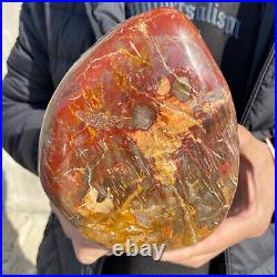 4.3lb Rare Natural petrified wood rough Wood fossil mineral specimen healing 4.3lb Rare Natural petrified wood rough Wood fossil mineral specimen healing