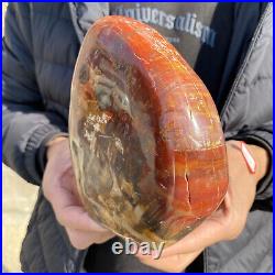4.3lb Rare Natural petrified wood rough Wood fossil mineral specimen healing 4.3lb Rare Natural petrified wood rough Wood fossil mineral specimen healing