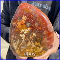 4.3lb Rare Natural petrified wood rough Wood fossil mineral specimen healing 4.3lb Rare Natural petrified wood rough Wood fossil mineral specimen healing