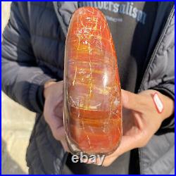 4.3lb Rare Natural petrified wood rough Wood fossil mineral specimen healing 4.3lb Rare Natural petrified wood rough Wood fossil mineral specimen healing
