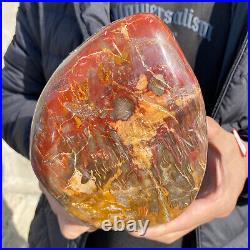 4.3lb Rare Natural petrified wood rough Wood fossil mineral specimen healing 4.3lb Rare Natural petrified wood rough Wood fossil mineral specimen healing