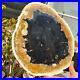 4_41LB_Large_Natural_Petrified_Wood_Crystal_Fossil_Slice_Shape_Healing_Specimen_01_gr