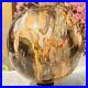 4_41lb_Large_Natural_Petrified_Wood_Crystal_Fossil_Sphere_Specimen_Healing_01_qhkd