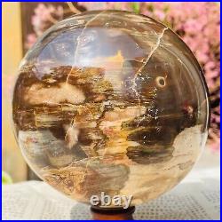 4.41lb Large Natural Petrified Wood Crystal Fossil Sphere Specimen Healing