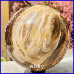 4.41lb Large Natural Petrified Wood Crystal Fossil Sphere Specimen Healing