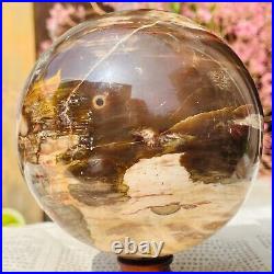 4.48lb Large Natural Petrified Wood Crystal Fossil Sphere Specimen Healing