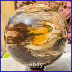 4.48lb Large Natural Petrified Wood Crystal Fossil Sphere Specimen Healing