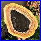 4_4LB_Large_Natural_Petrified_Wood_Crystal_Fossil_Slice_Shape_Specimen_Healing_01_ph