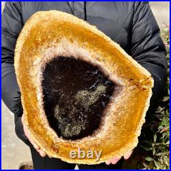 4.4LB Large Natural Petrified Wood Crystal Fossil Slice Shape Specimen Healing 4.4LB Large Natural Petrified Wood Crystal Fossil Slice Shape Specimen Healing