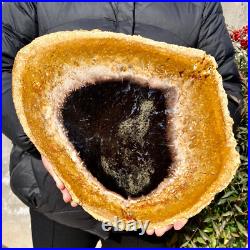 4.4LB Large Natural Petrified Wood Crystal Fossil Slice Shape Specimen Healing 4.4LB Large Natural Petrified Wood Crystal Fossil Slice Shape Specimen Healing