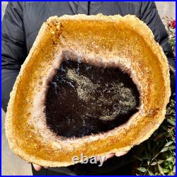 4.4LB Large Natural Petrified Wood Crystal Fossil Slice Shape Specimen Healing 4.4LB Large Natural Petrified Wood Crystal Fossil Slice Shape Specimen Healing