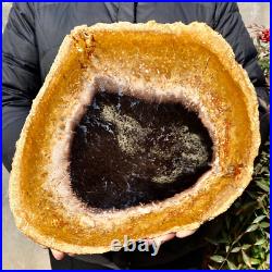 4.4LB Large Natural Petrified Wood Crystal Fossil Slice Shape Specimen Healing 4.4LB Large Natural Petrified Wood Crystal Fossil Slice Shape Specimen Healing