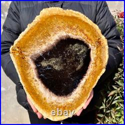4.4LB Large Natural Petrified Wood Crystal Fossil Slice Shape Specimen Healing 4.4LB Large Natural Petrified Wood Crystal Fossil Slice Shape Specimen Healing