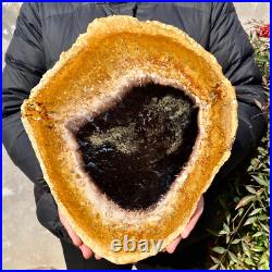 4.4LB Large Natural Petrified Wood Crystal Fossil Slice Shape Specimen Healing 4.4LB Large Natural Petrified Wood Crystal Fossil Slice Shape Specimen Healing